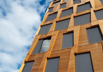 Soaring Timber prices push up new builds